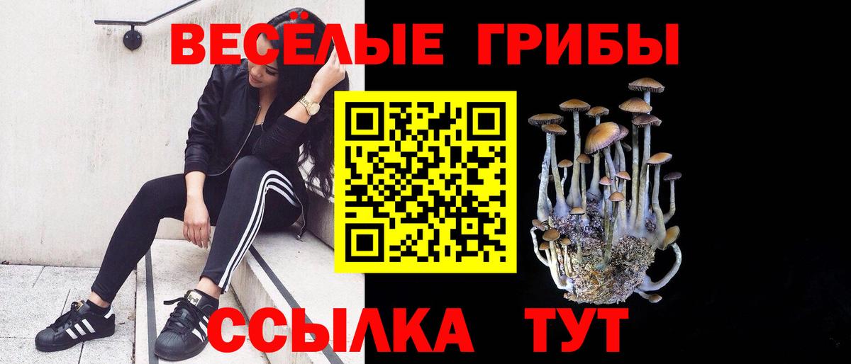 Псилоцибиновые грибы GOLDEN TEACHER  Псилоцибиновые грибы ЛСД  Вход с VPN  Белорецк 